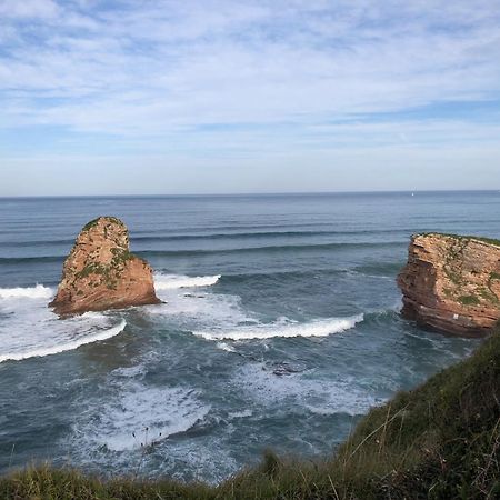 Appart 12 Pers 5Km Plage Hendaye ユリューニュ エクステリア 写真